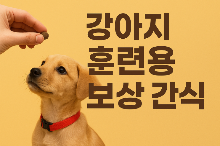  강아지 훈련용 보상 간식, 어떻게 선택해야 할까?