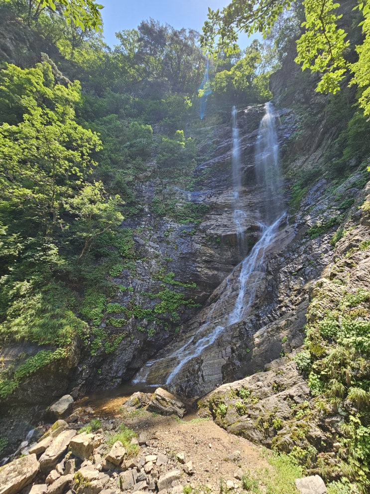 <b>강릉 가뭄</b>은 언제 끝날까