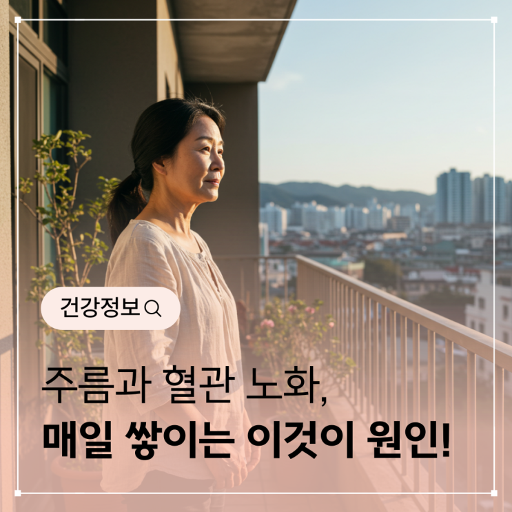  주름과 혈관 노화, 매일 쌓이는 이것이 원인입니다