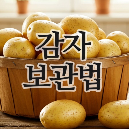  감자오래보관법부터 삶은감자 냉장고 보관법까지 꿀팁 정리