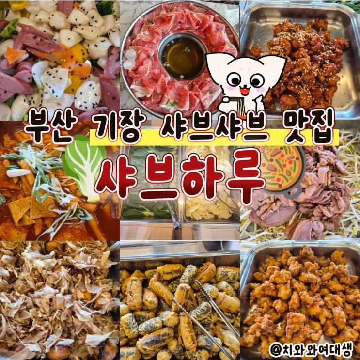  해동용궁사 맛집 기장 샤브하루 아난티 후기
