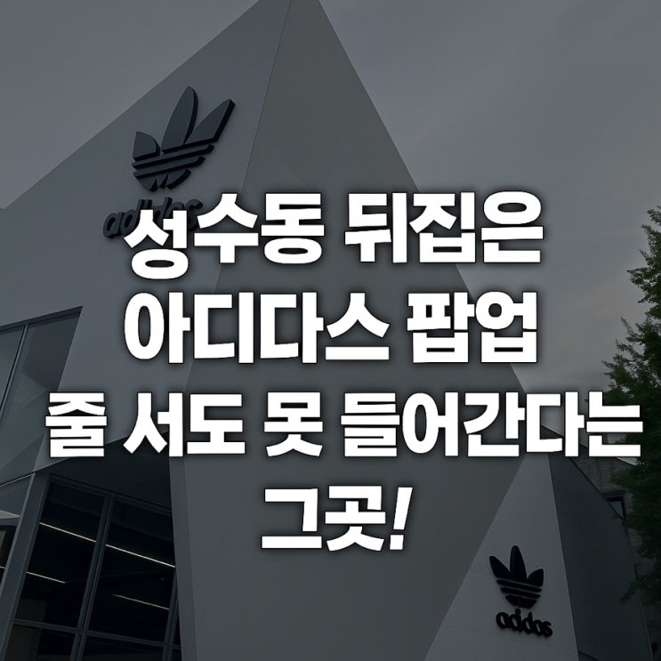 성수동 뒤집은 아디다스 팝업, 줄 서도 못 들어간다는 그곳!