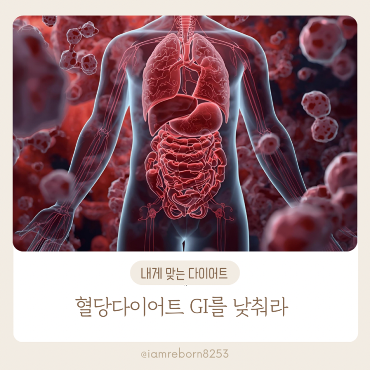  혈당다이어트 따라하기 저GI식단
