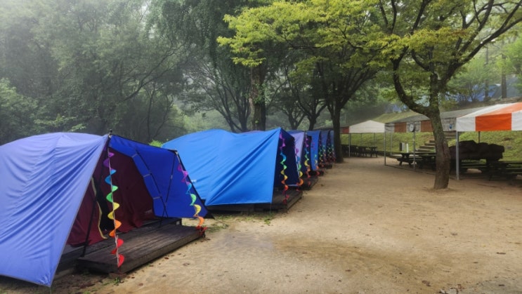  단체 텐트 대여 설치