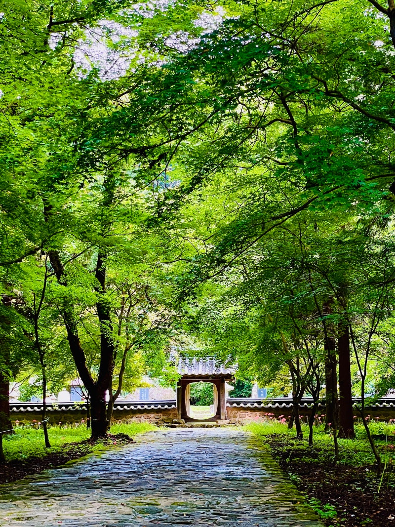 정책지식 2025.9.11. : 네이버 블로그