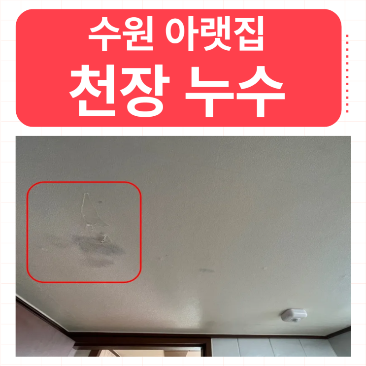  수원 천장누수 아파트 배관 물샘 빠르게 해결하는 업체 추천 보험처리까지 한번에