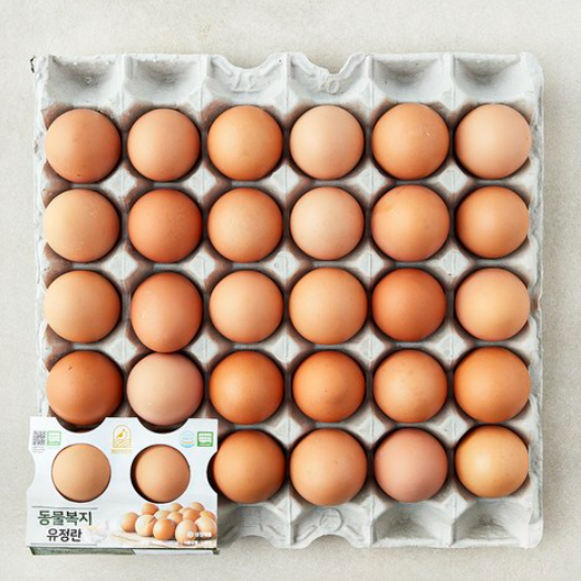  동물복지 인증 유정란, 무항생제 인증 1등급 신선 특란 비교 추천