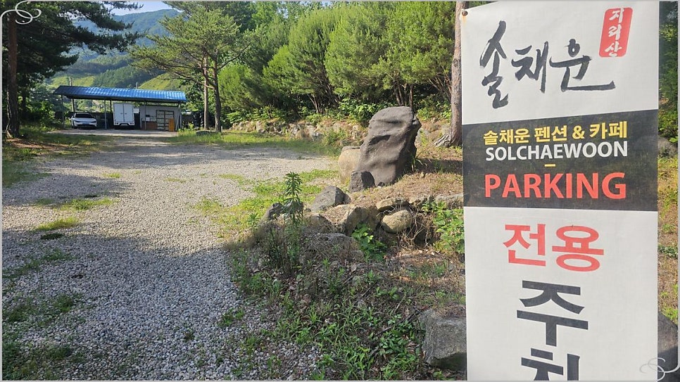 솔채운카페 사진 2