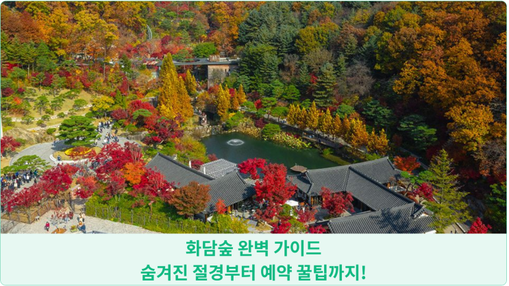  화담숲 완벽 가이드: 숨겨진 절경부터 예약 꿀팁까지!