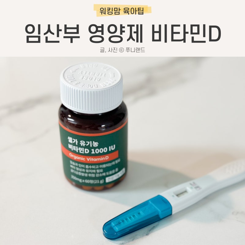 비타민디 효능 하루권장량 섭취시간 임산부 비타민D 부족 증상