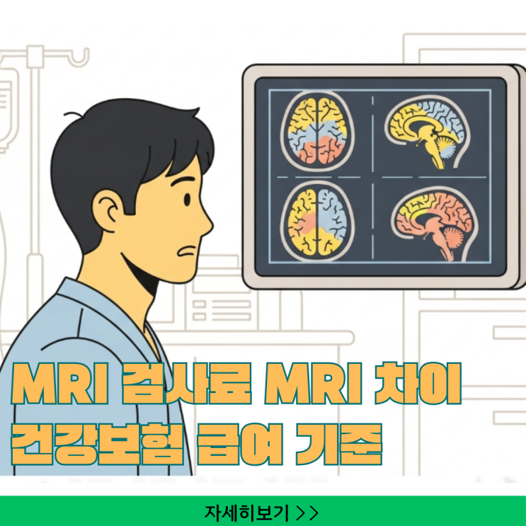  머리 뇌 MRA 검사료, MRI와 차이 및 건강보험 급여 기준 총정리