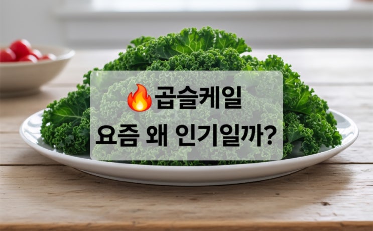   곱슬케일 효능, 왜 요즘 인기일까?/효능/먹는법/ 주의할점