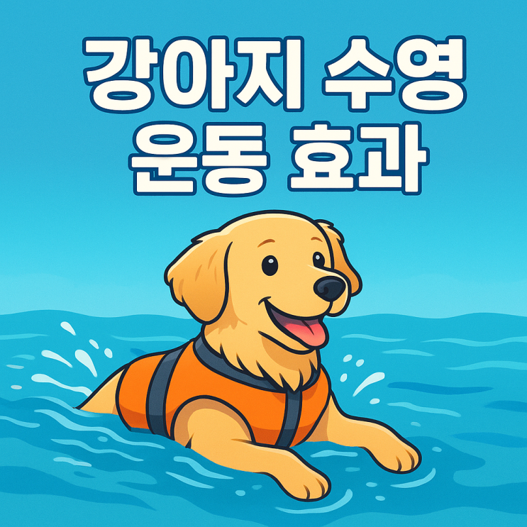  강아지 수영 운동 효과, 건강과 행복을 지켜주는 최고의 운동