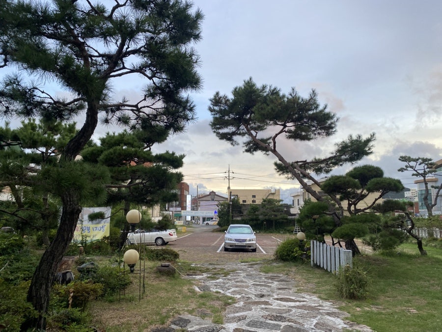 신의주찹쌀순대 김해가야점 사진 2