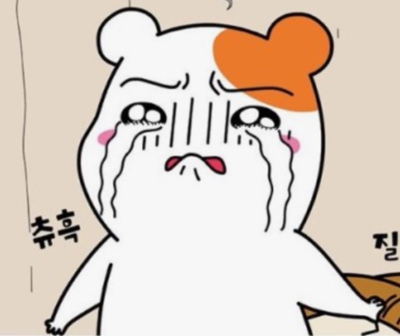 국민연금 연체/압류통지서/압류/압류해제과정 알기/ 프리랜서 4대보험 알기/자영업자 4대보....