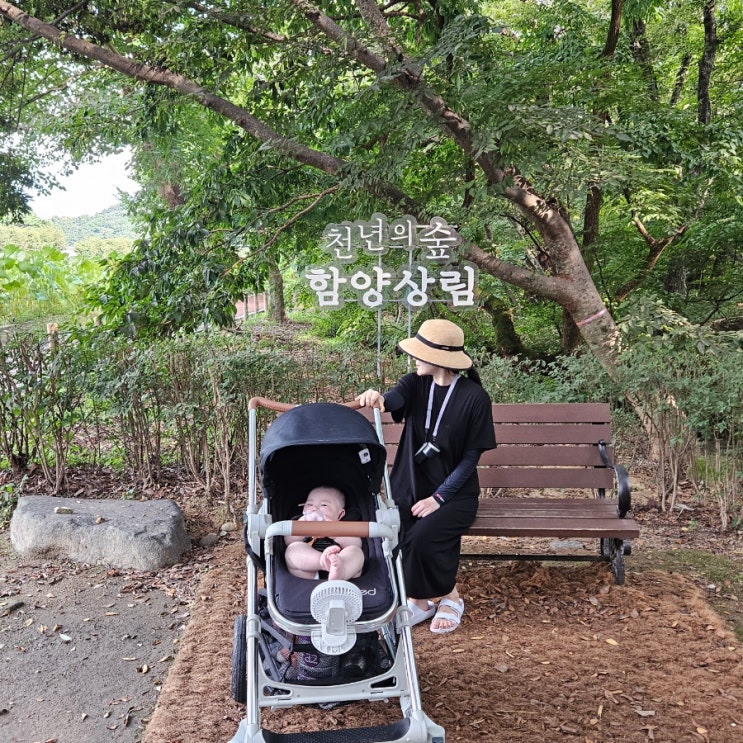  함양가볼만한곳 천년의 숲 함양 상림공원 주차장 유모차 산책하기