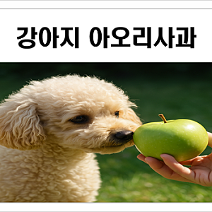 강아지 아오리 사과 초록 청사과 급여 방법