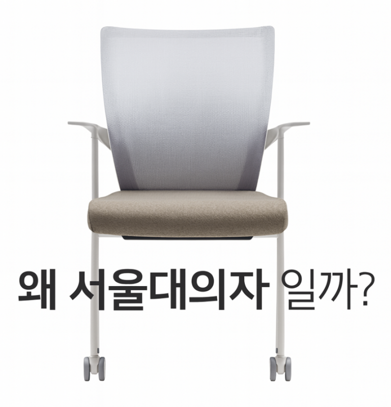 서울대의자 서울대생들이 고른 이유 = 허리 지켜줌
