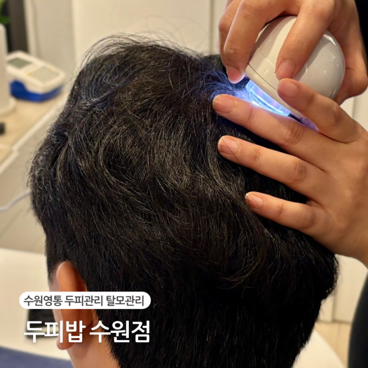  수원 영통두피관리 두피밥 방문 두피케어 후기
