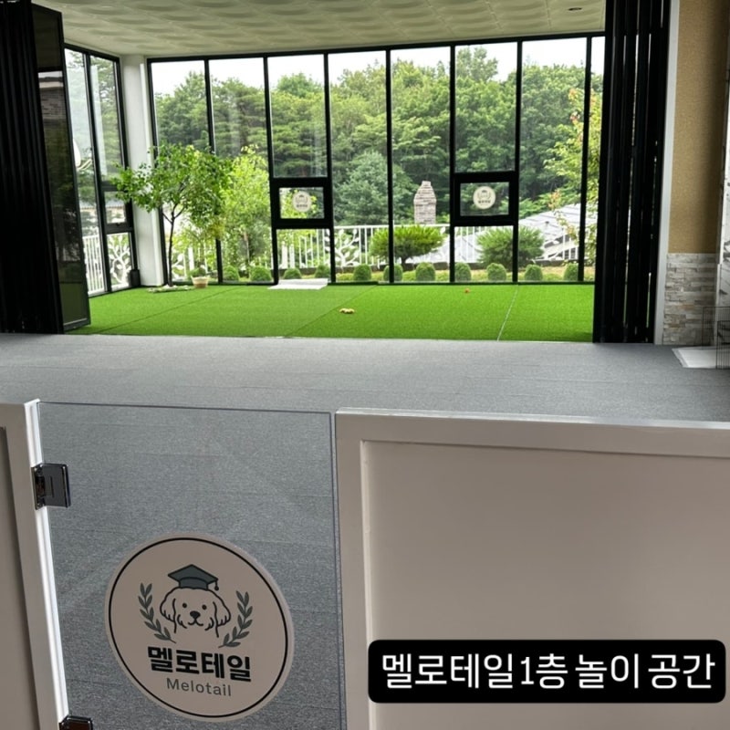 사진 2