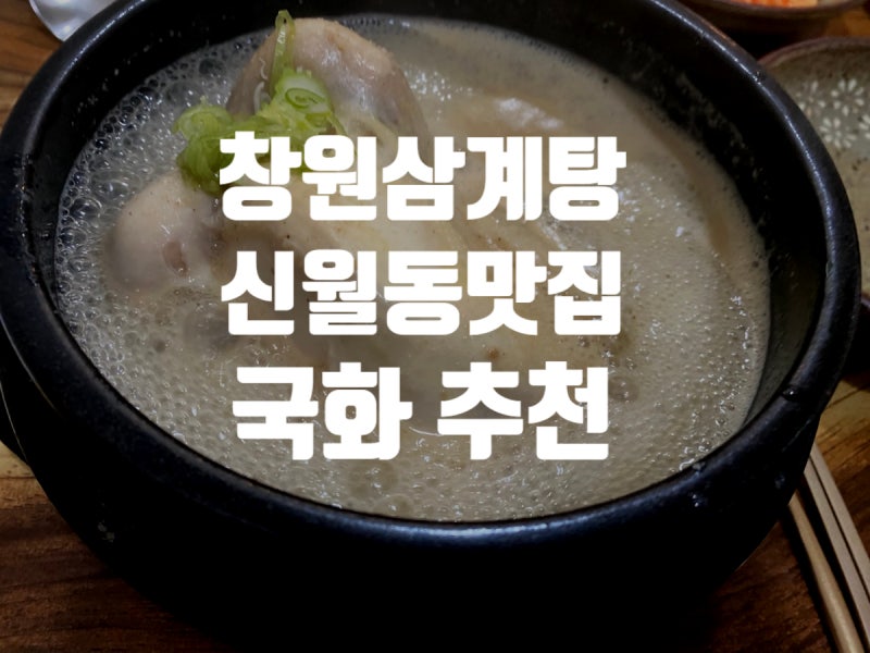 창원 삼계탕 국화 신월동 맛집 영양 보양식 여기서
