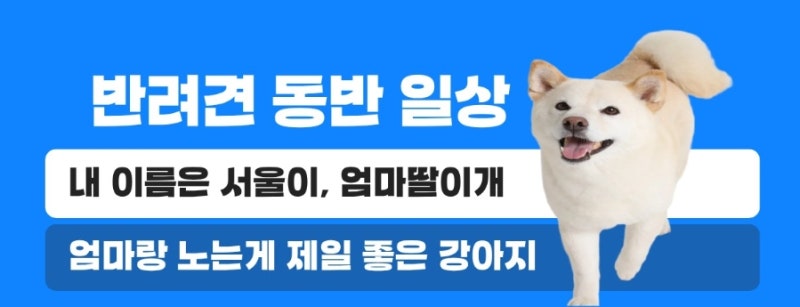 사진 2