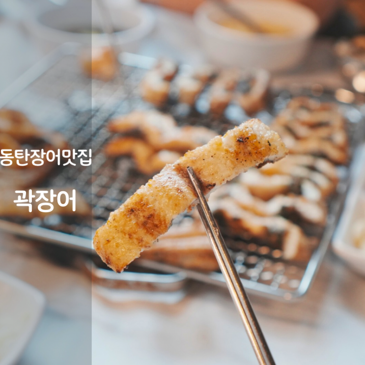  동탄맛집 곽장어 민물장어 구이 손질 굽는법