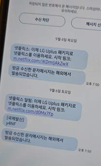  [일상] LG Uplus 사칭 스미싱 문자 (LG Uplus로 넷플릭스를 이용하세요)