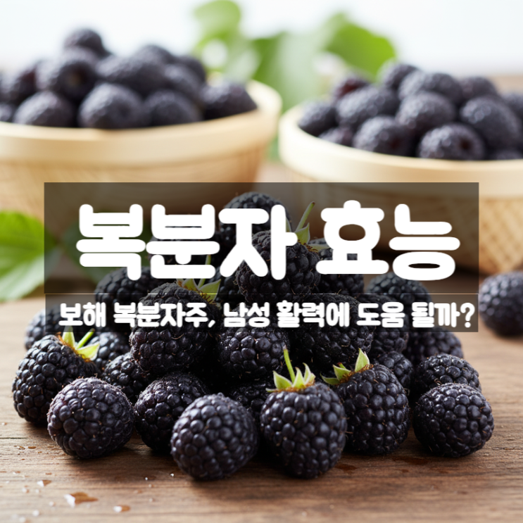  복분자 효능 부작용 먹는법 – 보해 복분자주 남성 활력에 좋은가?