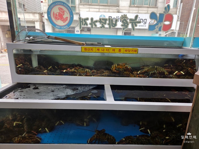 CK뉴욕바닷가재 본점 사진 2