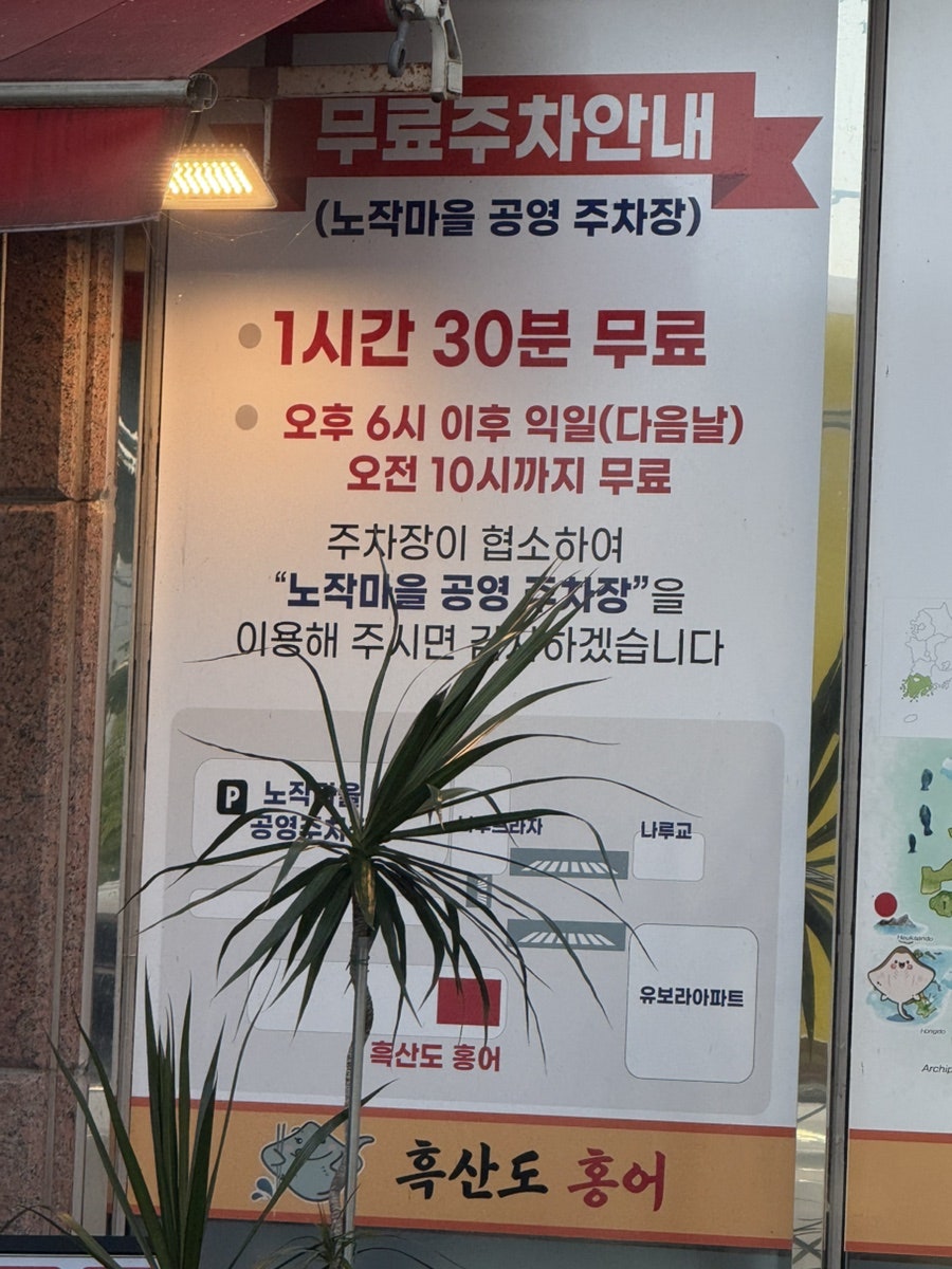흑산도홍어 사진 2
