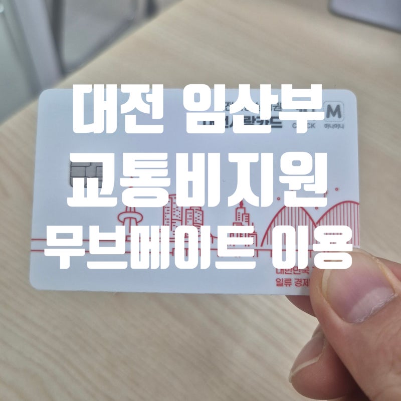 대전 임산부 교통비 택시요금 지원, 대전 무브메이트 이용방법 총정리