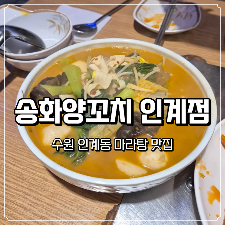  수원 인계동에서 새벽에 마라탕 먹으러 송화양꼬치 방문