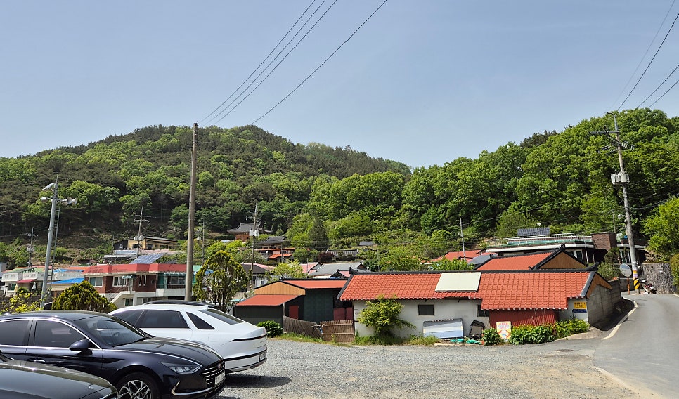 오동골 사진 5