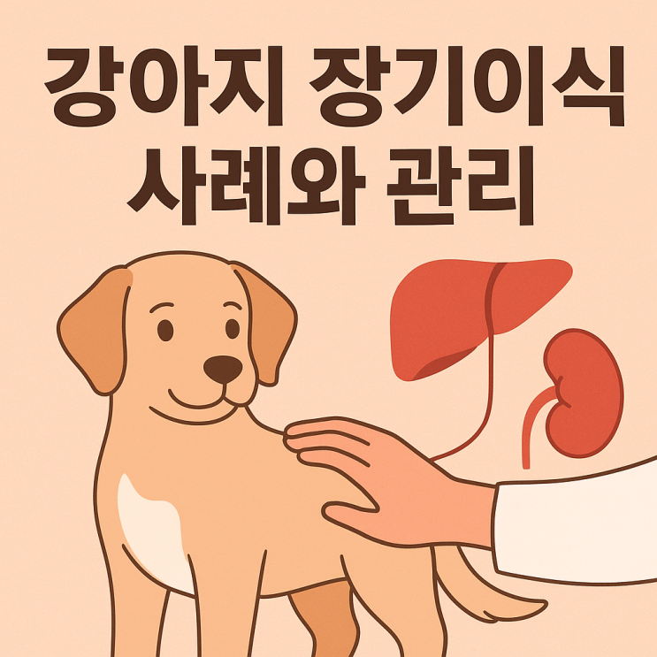  강아지 장기이식 사례와 관리 – 반려견 보호자가 꼭 알아야 할 것들