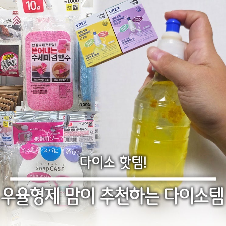  다이소 수영인 핫템 비누 케이스 / 프레스팝 멀티 비타민 / 뜯어내는 수세미 겸용 행주 10겹