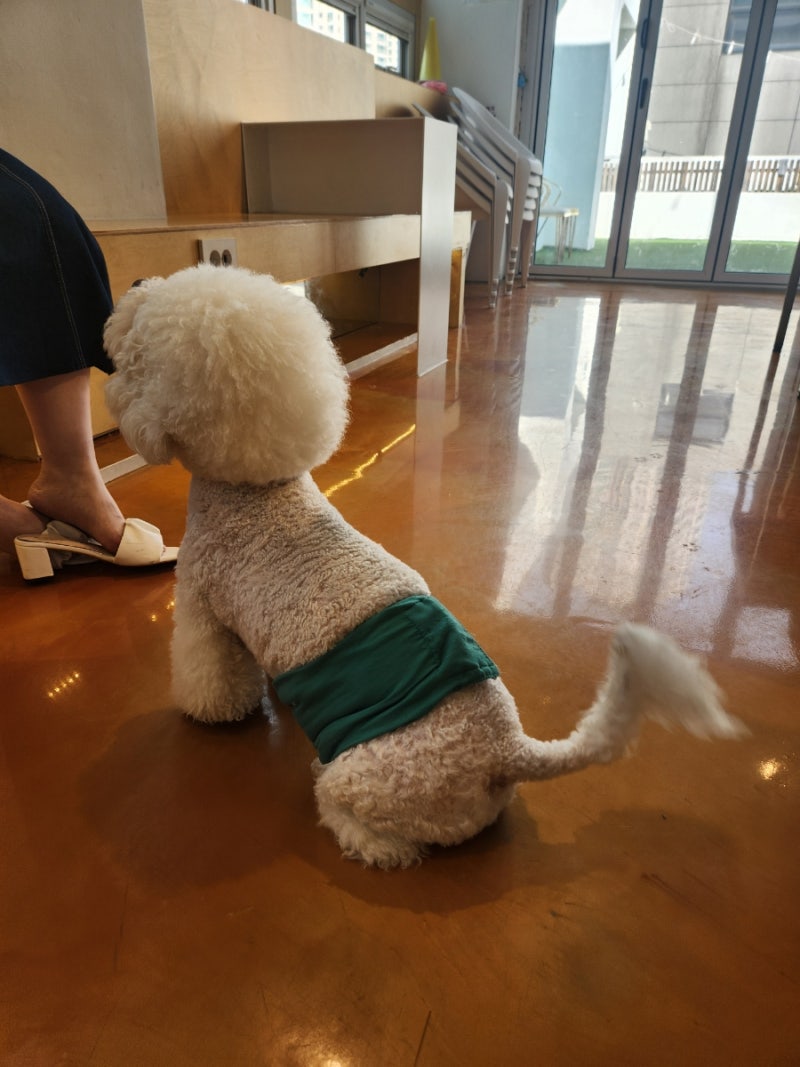 헤브카페