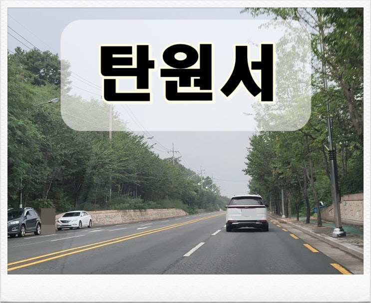  선처 탄원서 쓰는 법!  대필 대행 전문 행정사
