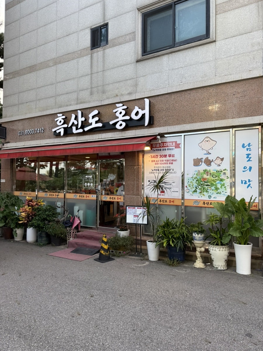 흑산도홍어 사진 1
