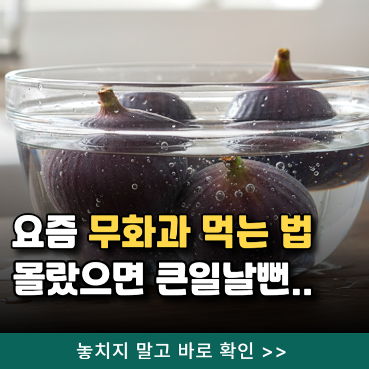  무화과 먹는법 몰랐으면 큰일날뻔..