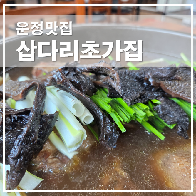  운정맛집 파주 삽다리초가집 오리백숙 가족보양식 전문점