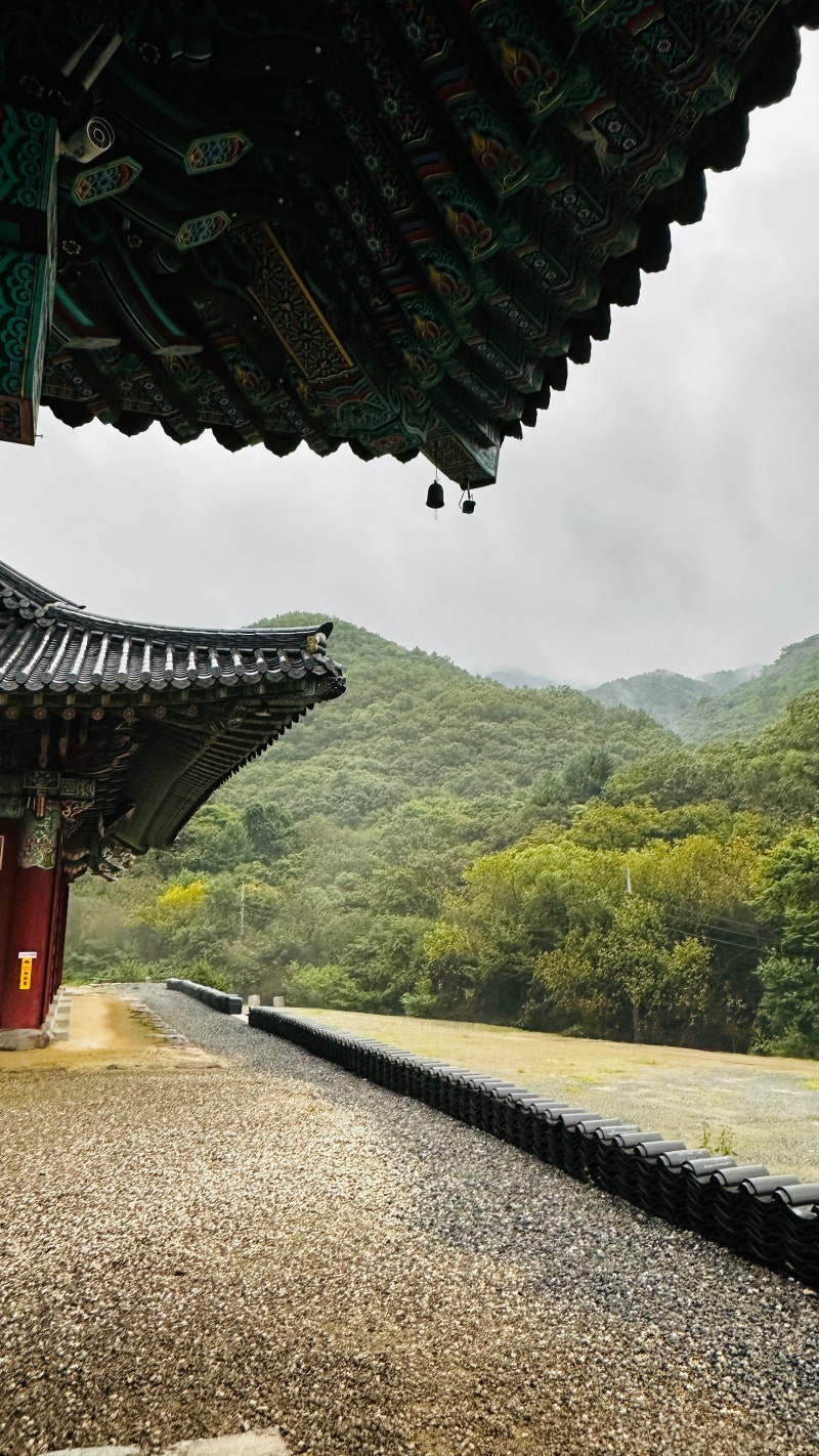 정책지식 2025.9.11. : 네이버 블로그