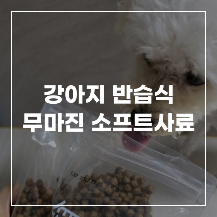  강아지 반습식사료 연어 황태 무마진 소프트사료