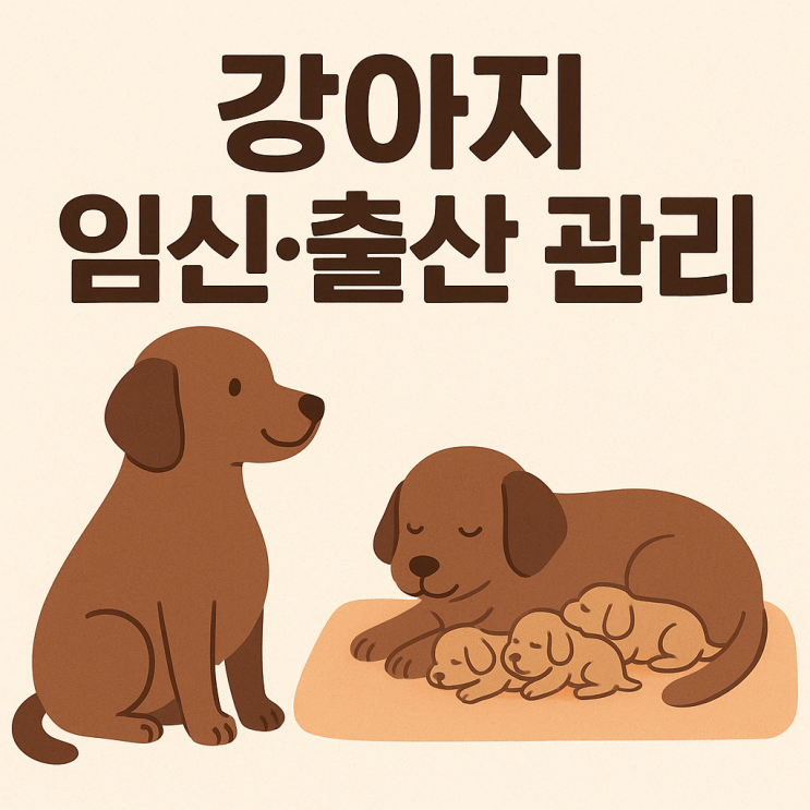  강아지 임신·출산 관리, 꼭 알아야 할 핵심 가이드