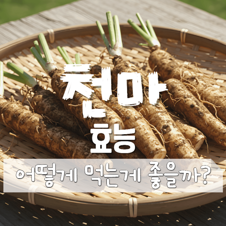  무주 천마 효능 : 차 즙 가루 먹는법