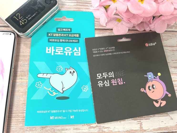  신불자 핸드폰 선불폰 온라인 개통 간단 정리