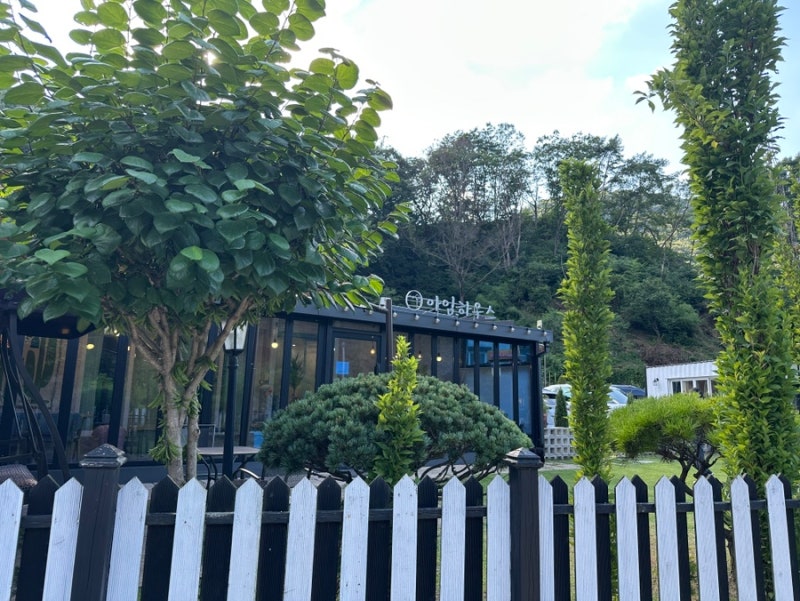 사진 6
