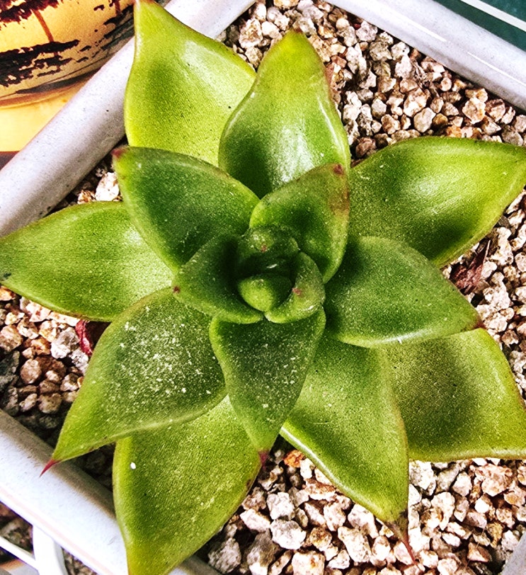  20250912 곰마리아