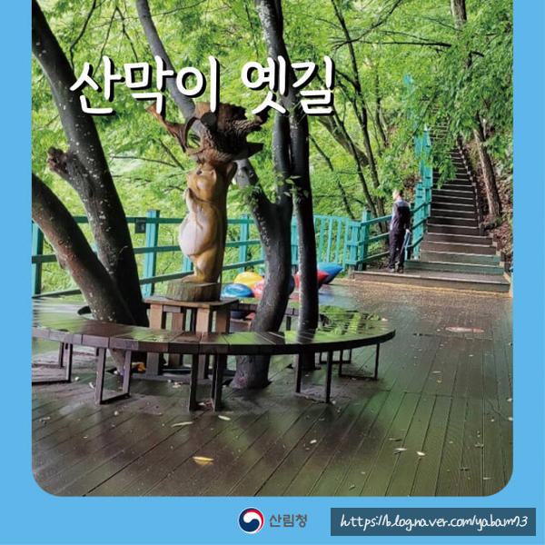 자드락 사진 4