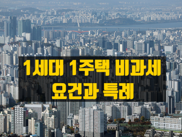  1세대 1주택 양도소득세 비과세 - 요건과 특례